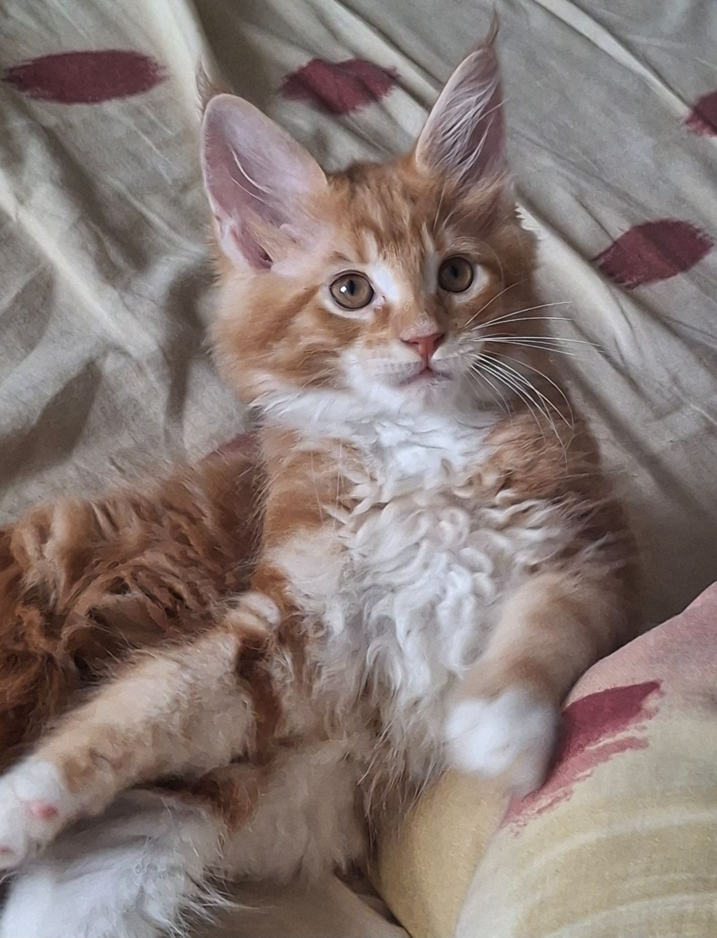 Хлопчик 2.5 місяця