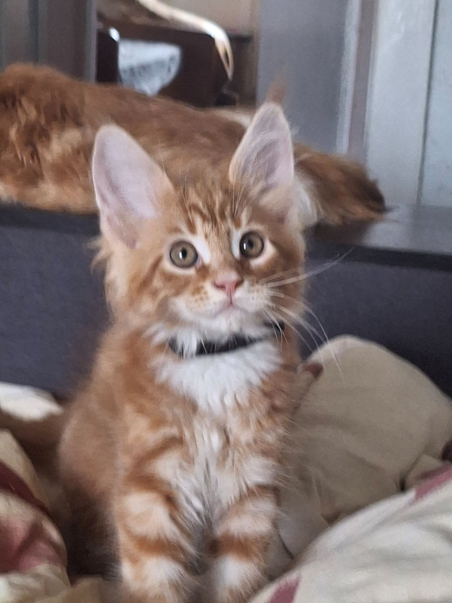 Хлопчик 2.5 місяця