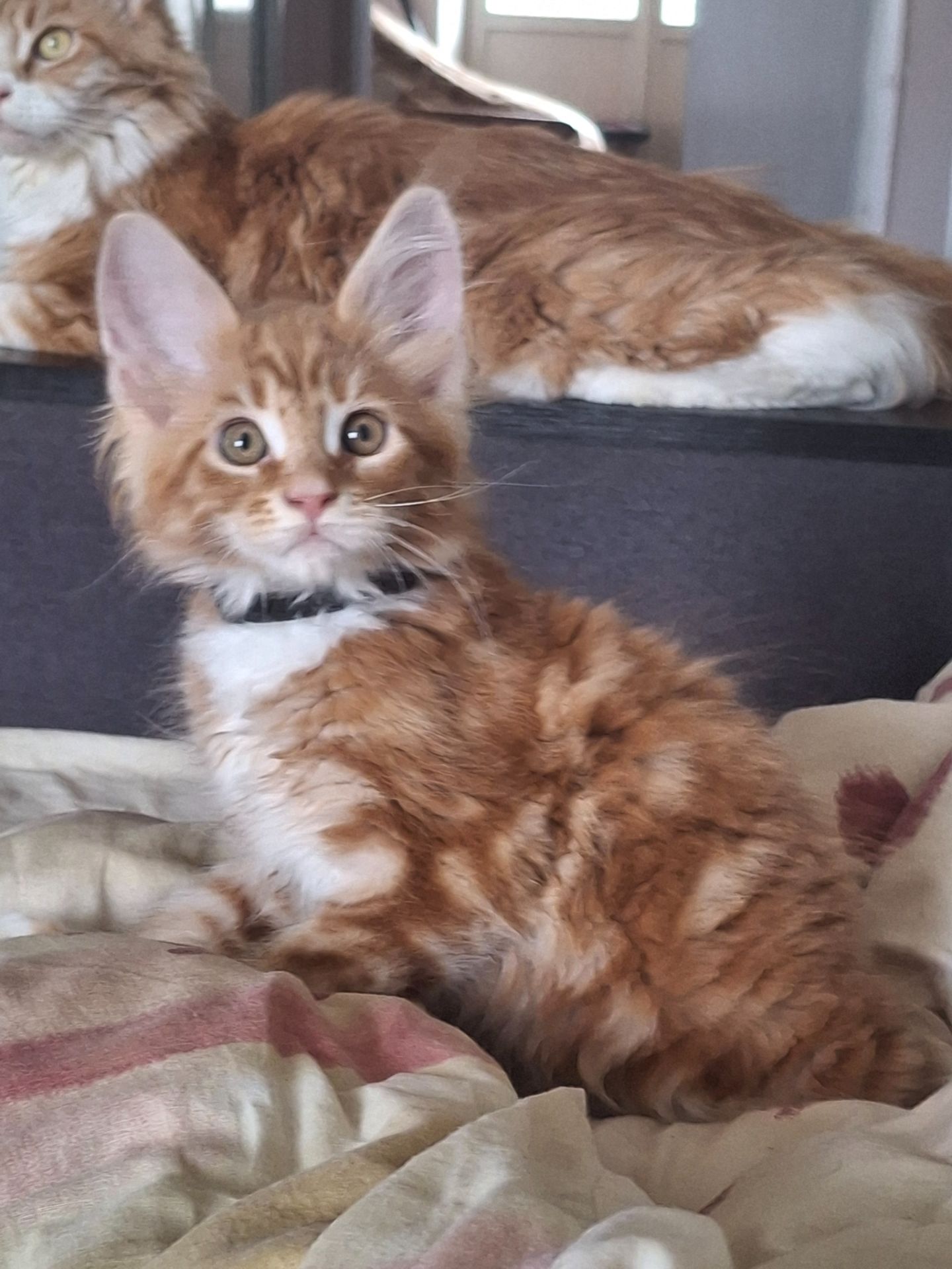Хлопчик 2.5 місяця