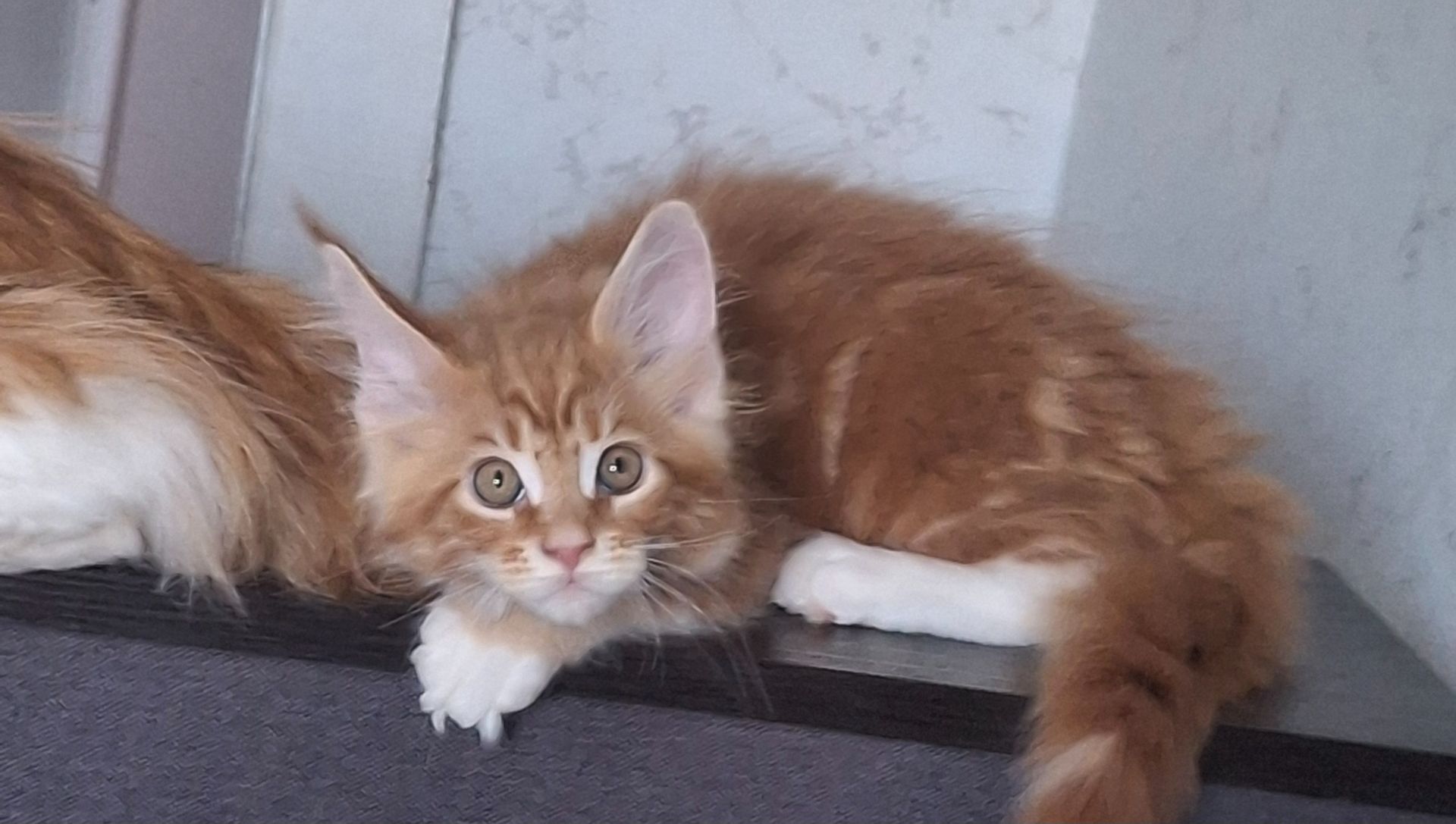 Хлопчик 2.5 місяця