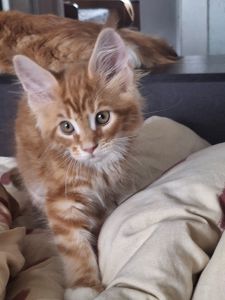 Хлопчик 2.5 місяця