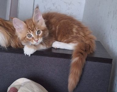 Хлопчик 2.5 місяця