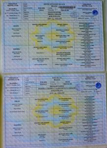 Біглі від батьків чемпіонів. Документи київського клубу, чіповані