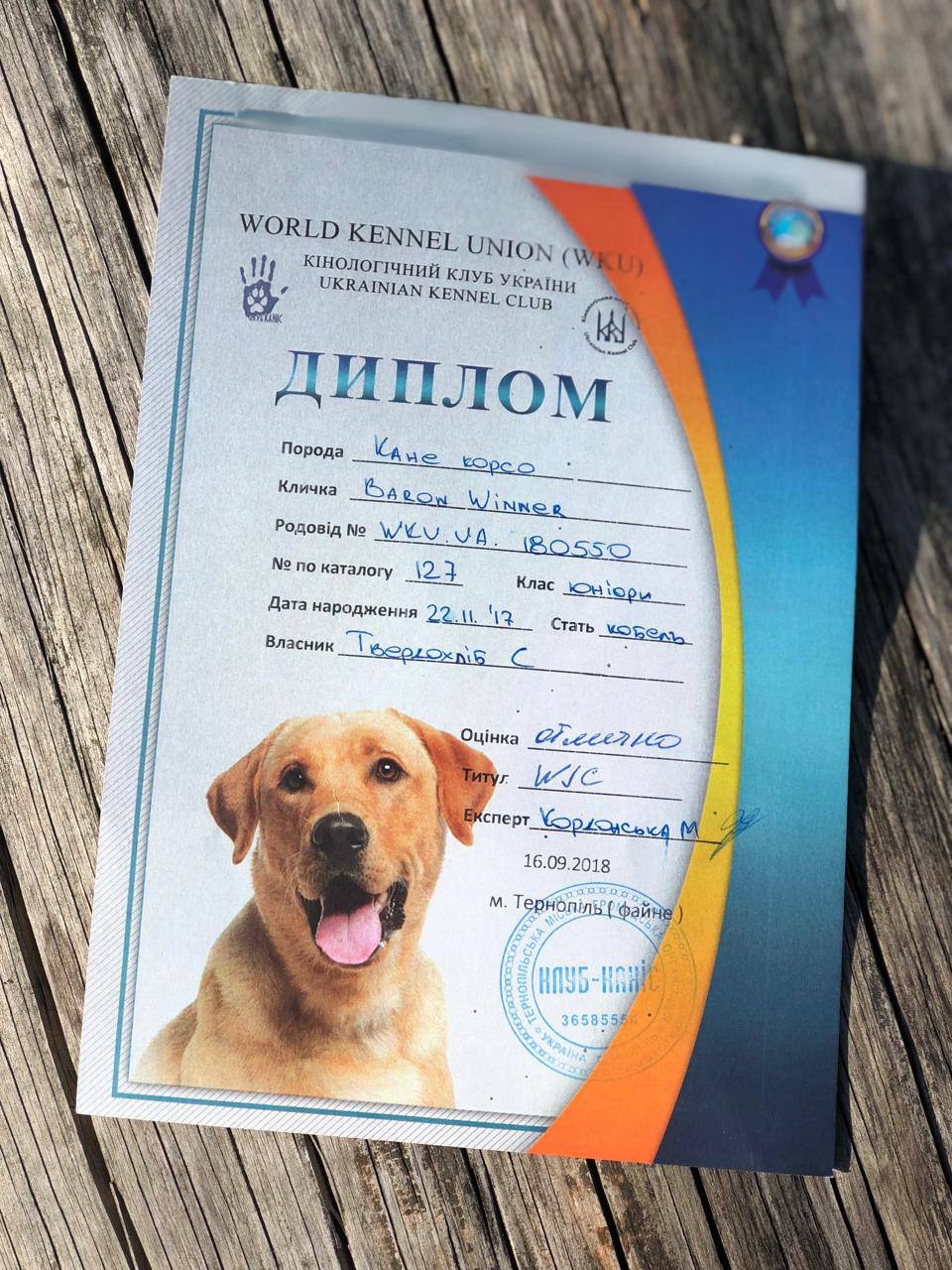 Віннер