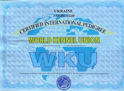 Віннер