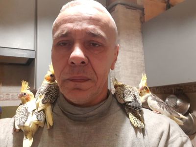 Аватар