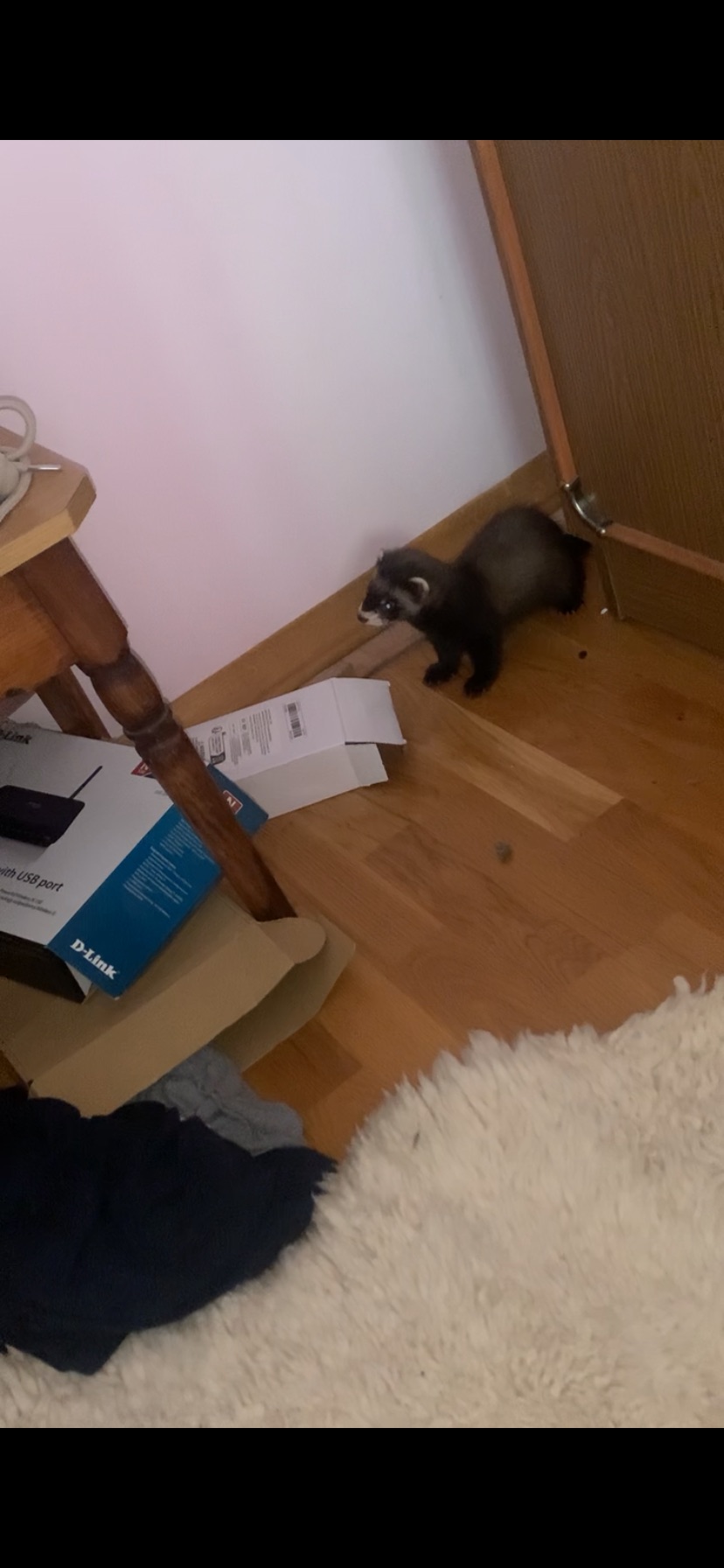 Фретка