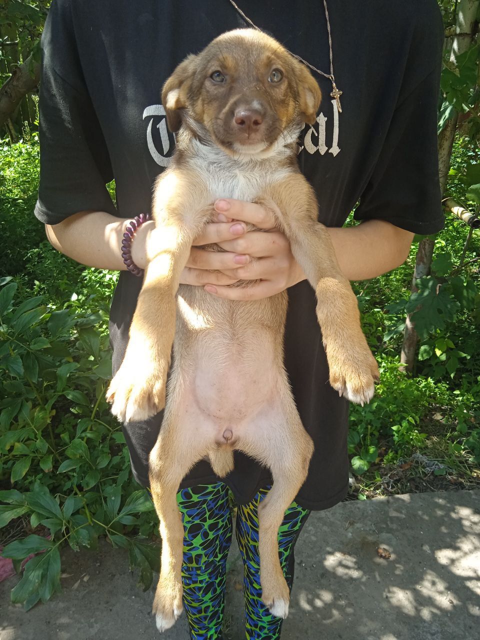 Ищем дом