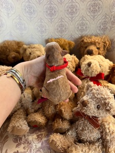 Цуценята хлопчики і дівчатка