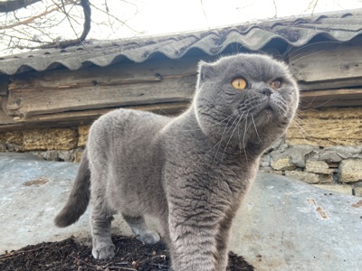 Аватар