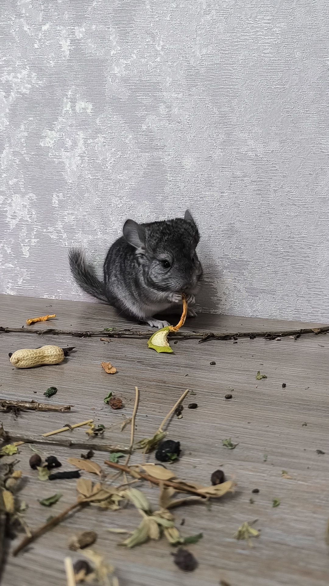 Хлопчик стандарт нкпа
