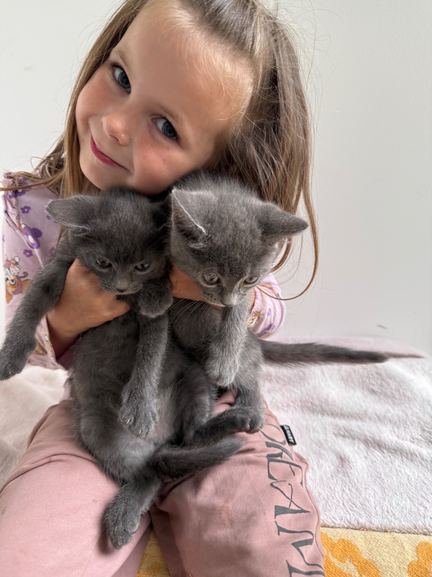 Кошеня метис