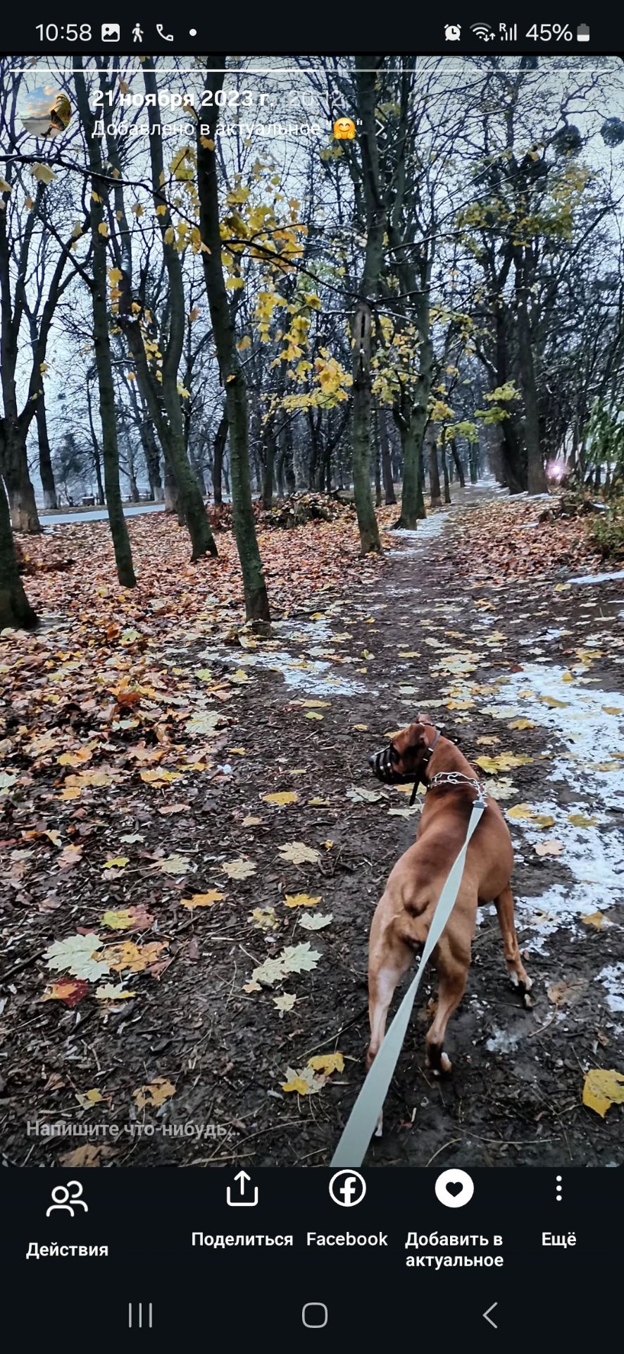 У добрі руки!