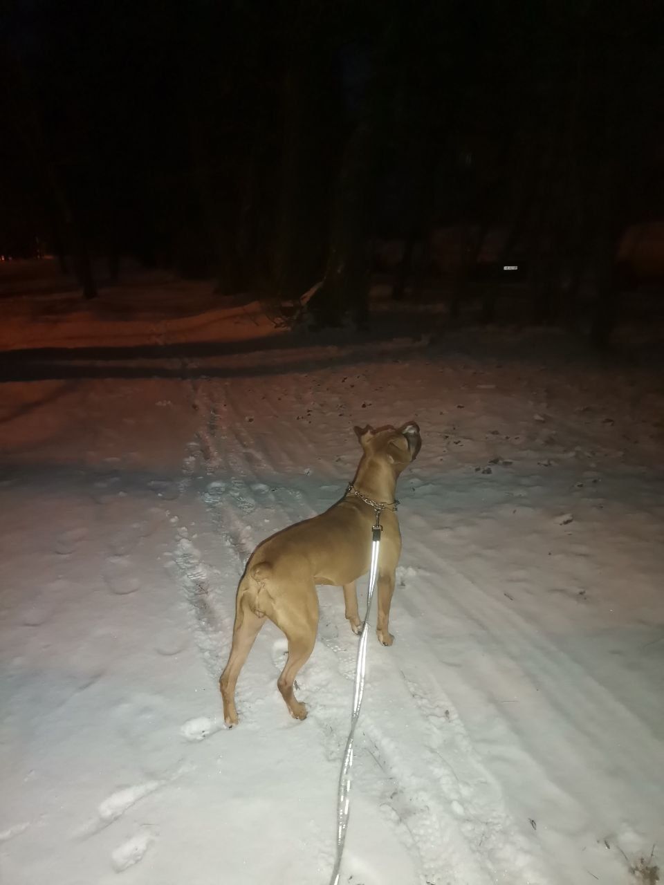 У добрі руки!