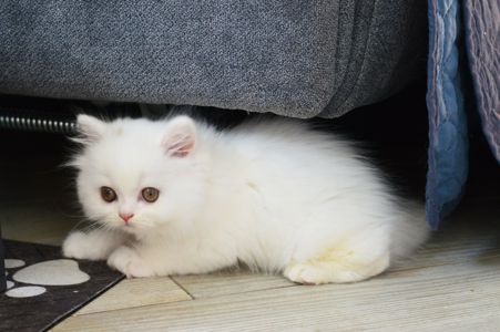 Хмаринка