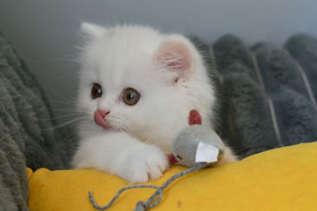 Хмаринка