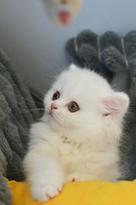 Хмаринка