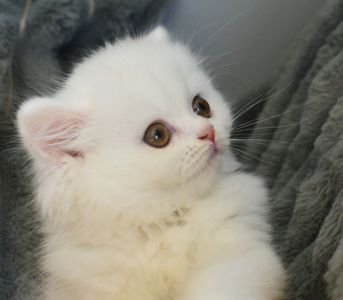 Хмаринка