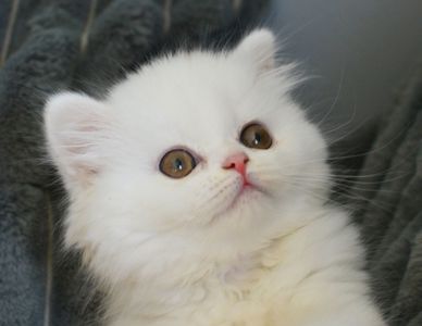 Хмаринка