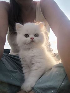 Хмаринка
