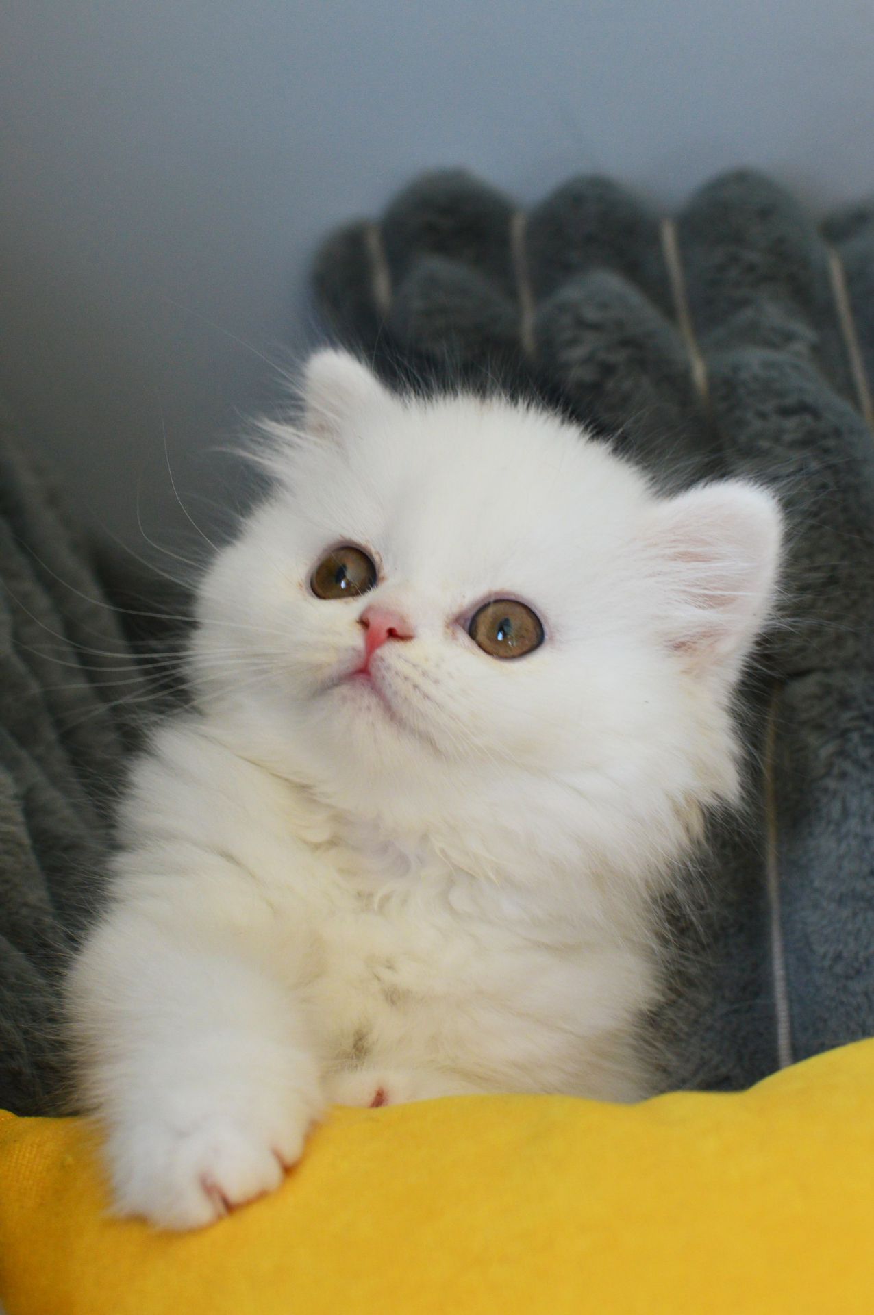 Хмаринка