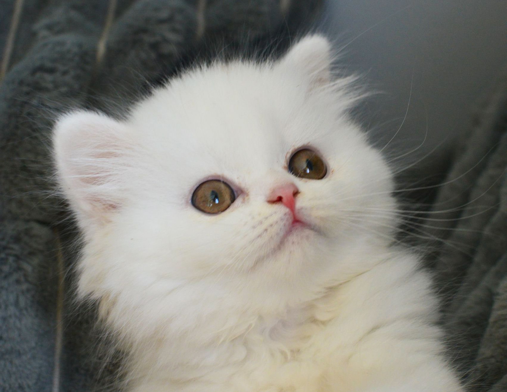Хмаринка
