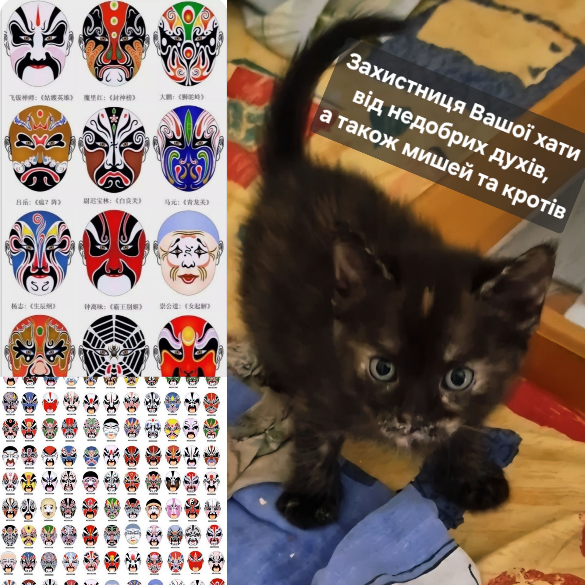 Кото Оберіг Вашої оселі