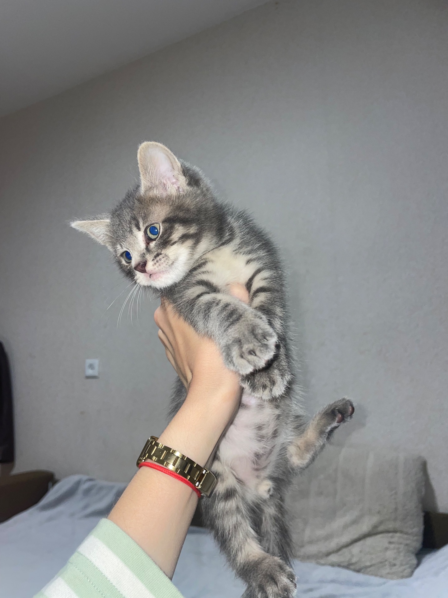 Юкі