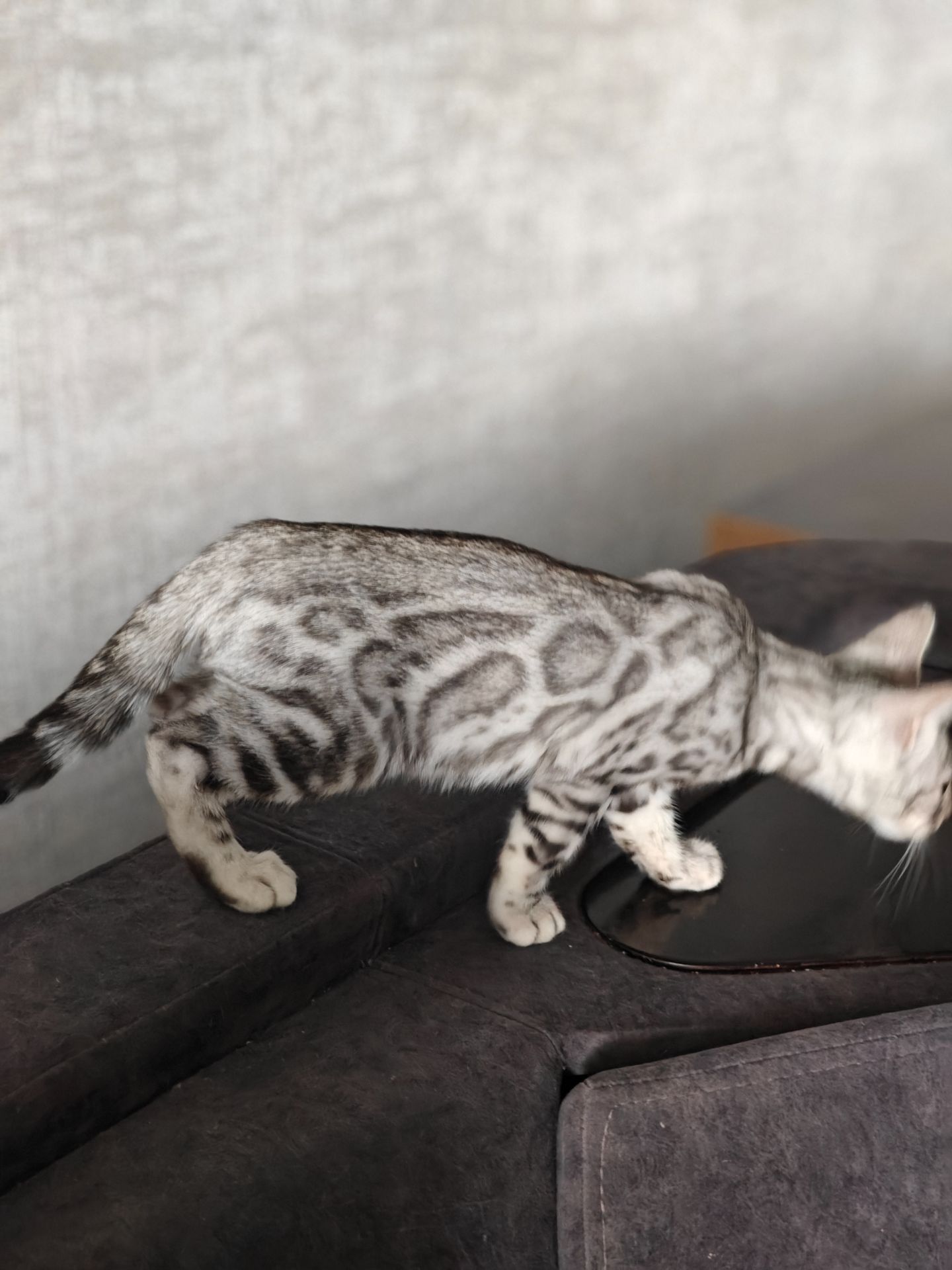 Срібний хлопчик