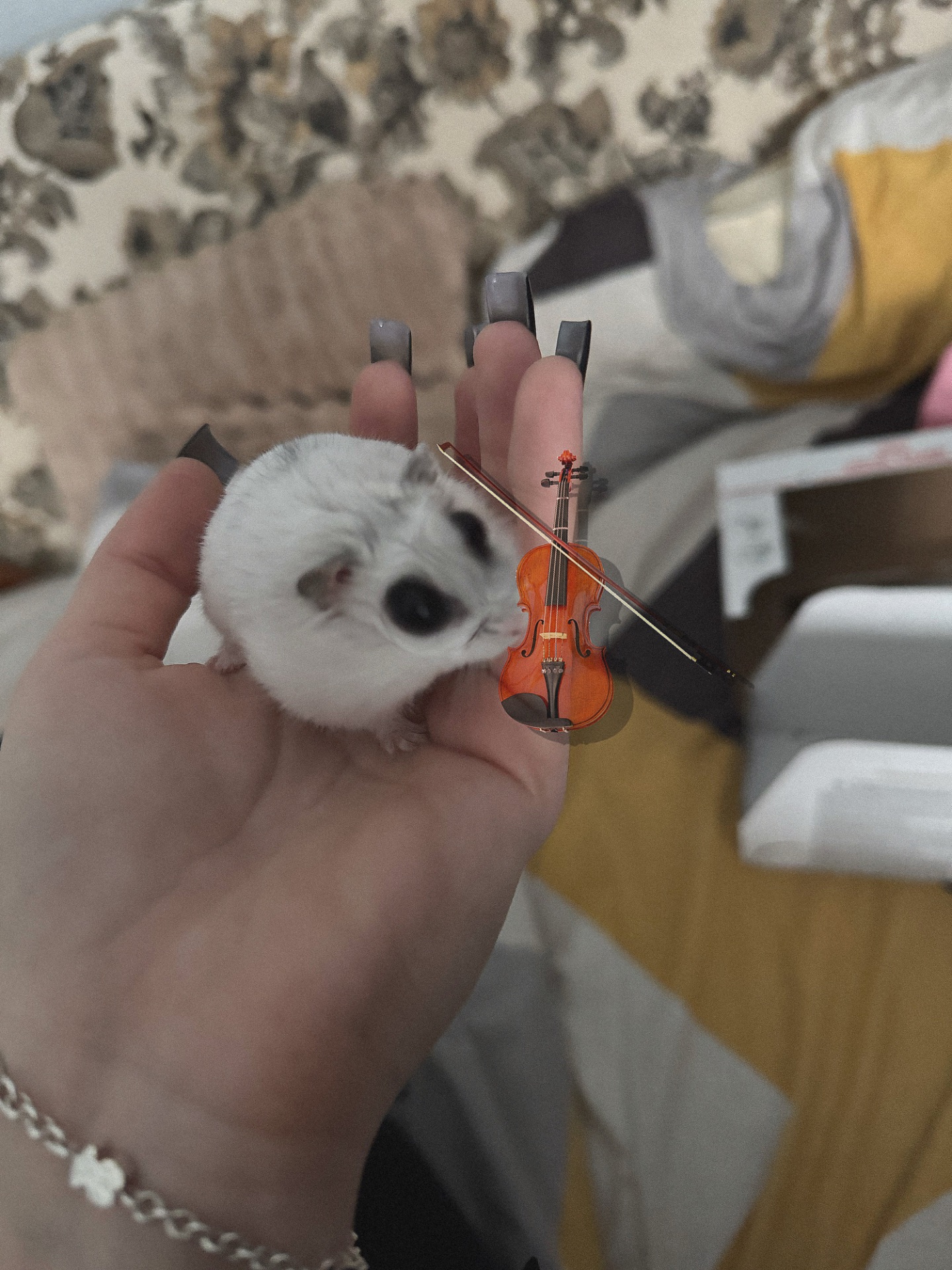 Хомʼяк Михалич