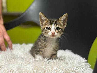 Малинка, 2, 5 місяці
