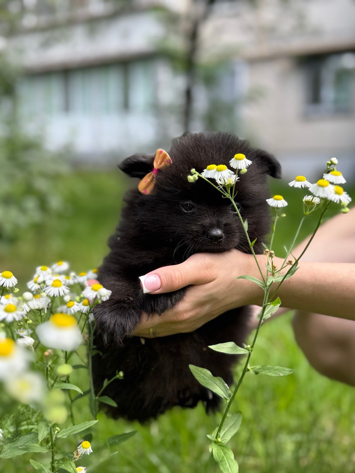 Чорний хлопчик