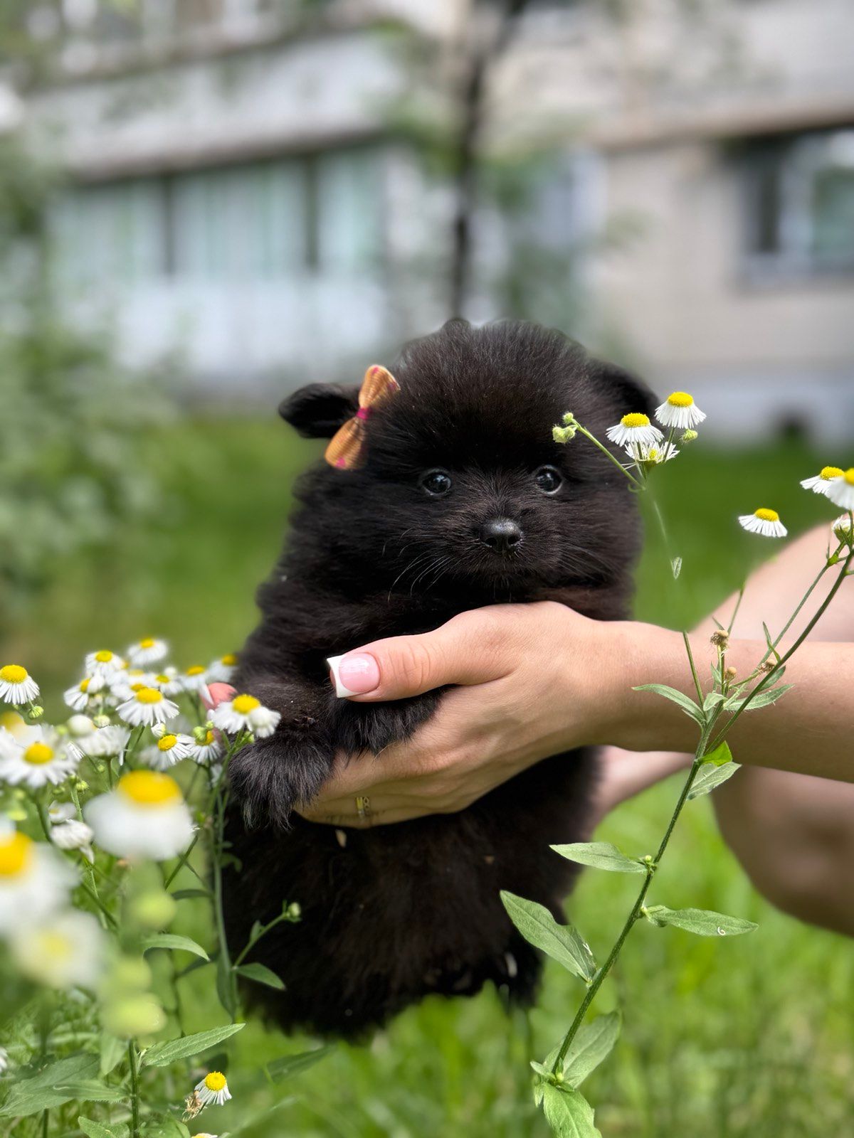 Чорний хлопчик