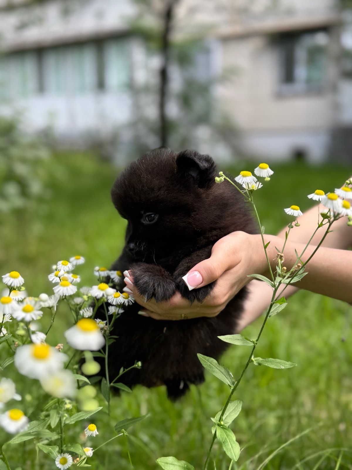 Чорний хлопчик