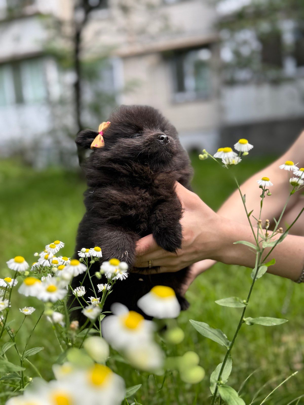 Чорний хлопчик