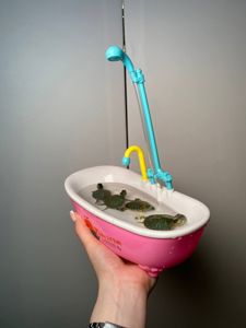 Черепашка червоновуха, черепаха домашня водна
