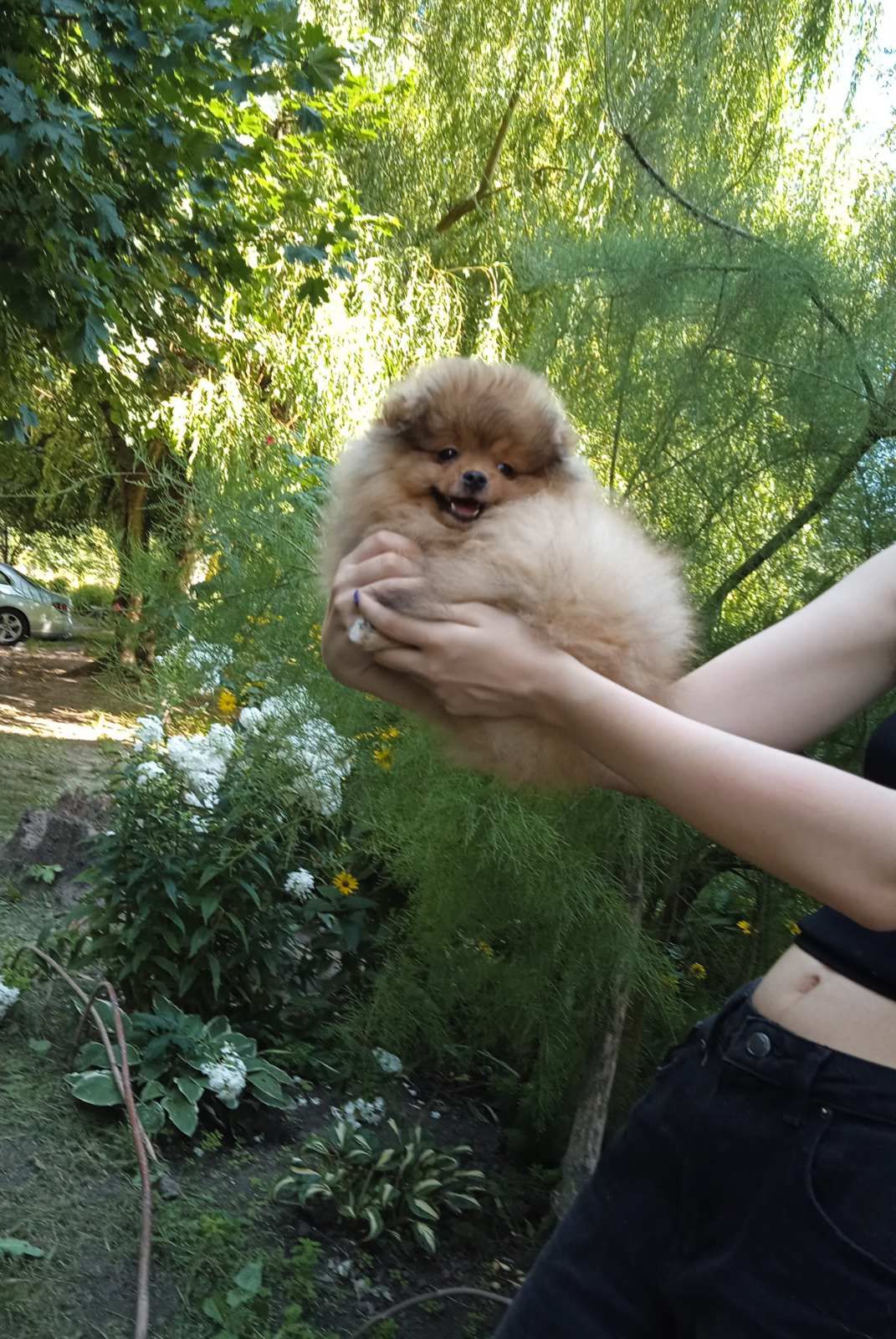 Хлопчик з КСУ документами