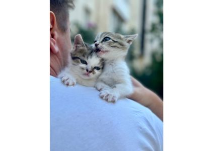 Малята з дитинства знають, що таке зрада: їх викинули в коробці на смітник, на вірну смерть ❤️‍🩹