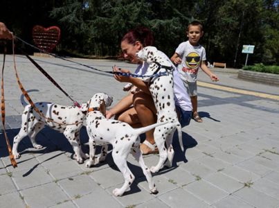 Цуценята Далматина