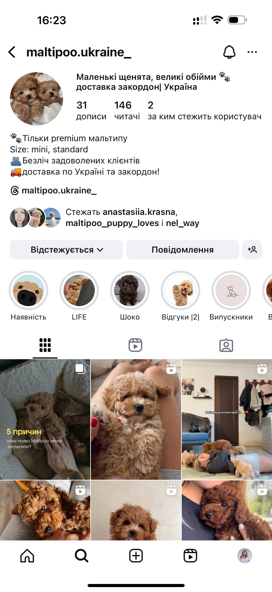 Дівчинка мальтипу міні