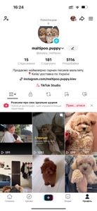 Дівчинка мальтипу міні