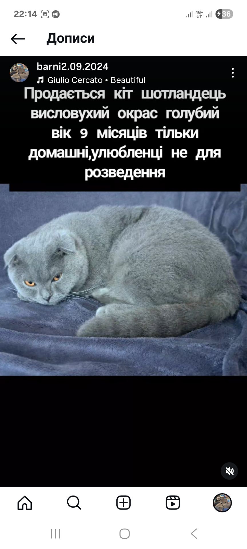Барні