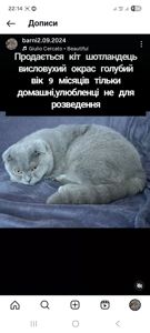 Барні