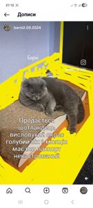 Барні