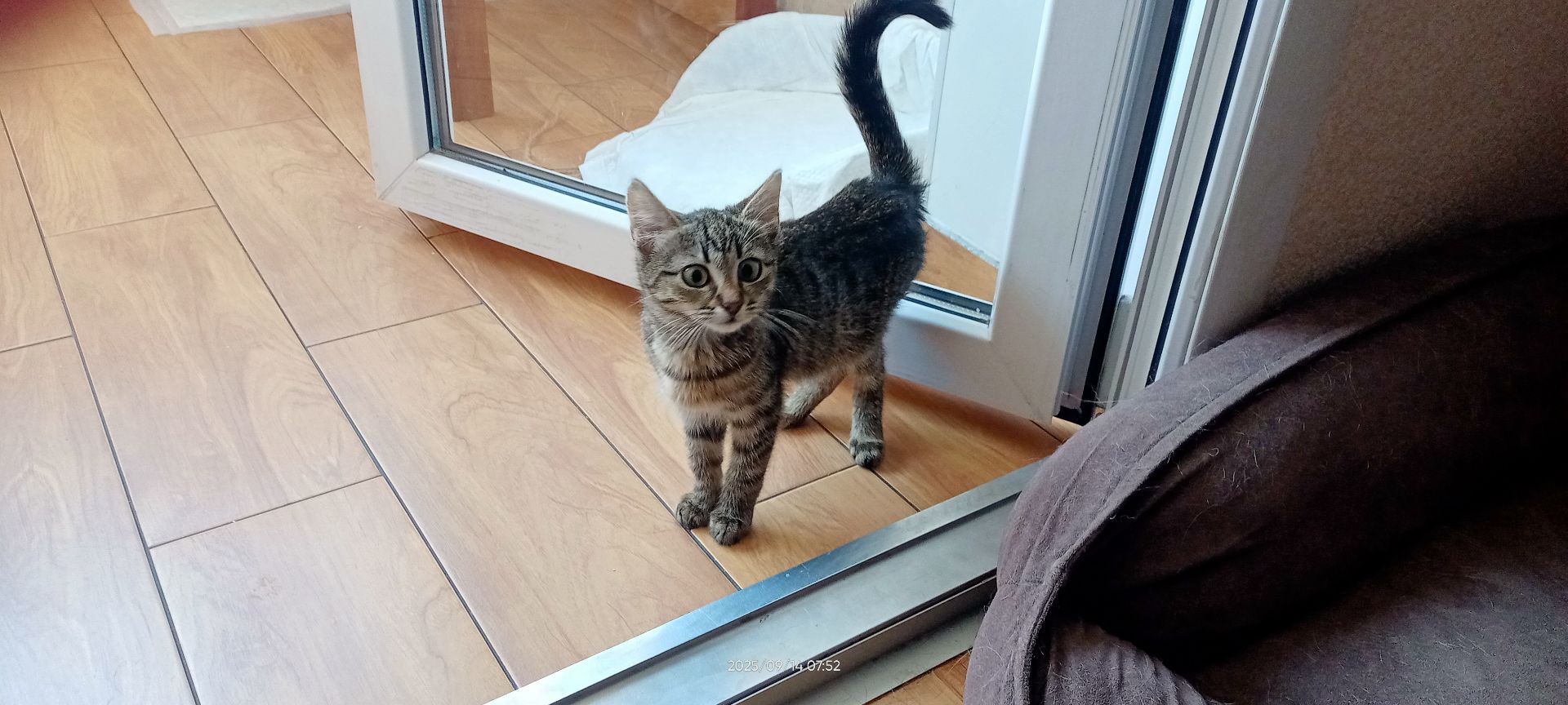 кошеня Тоня