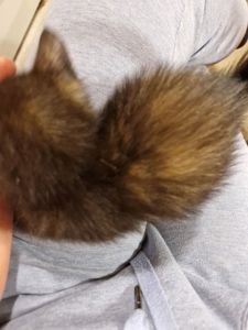 Амулет жіночого щастя КотоДівча півтора місяці