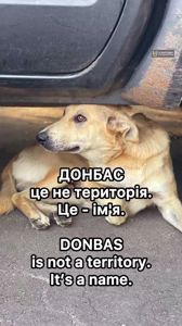 Пес Донбас