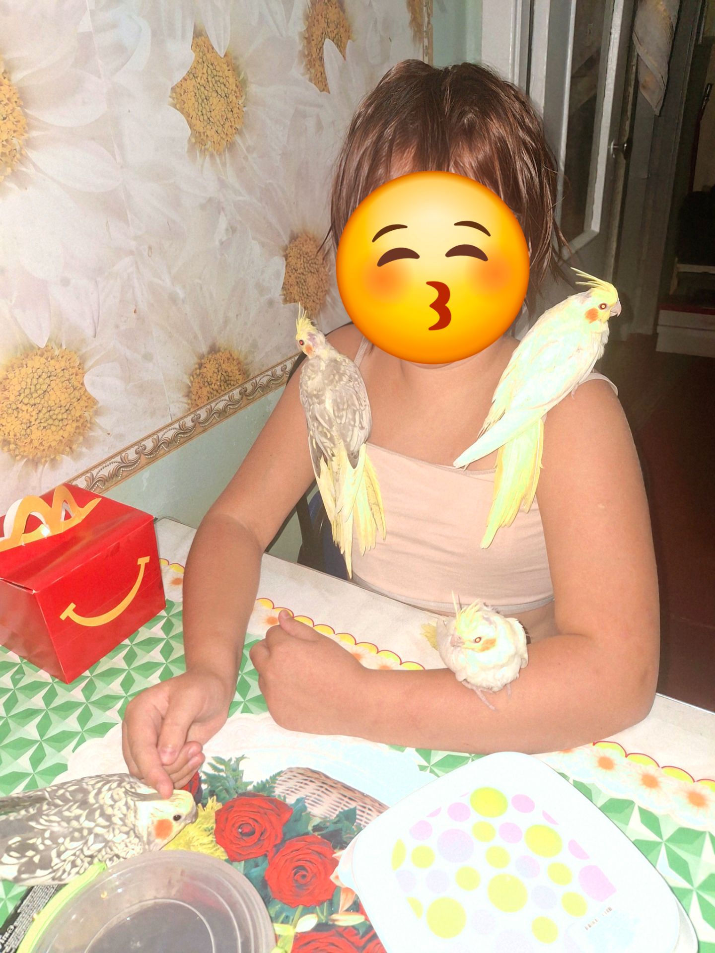 Корела