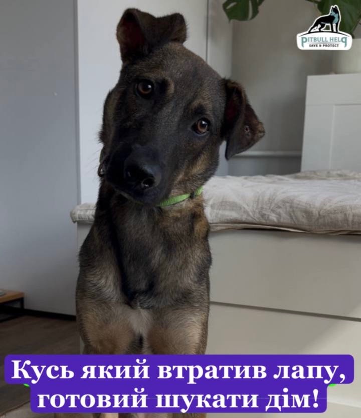 Особливий хлопчик Кузя шукає дім