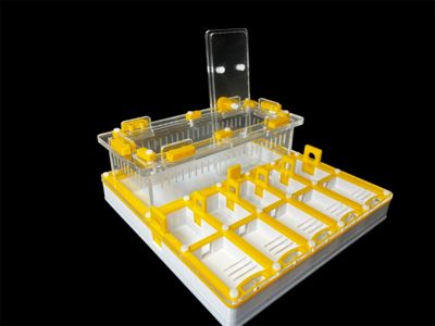 Профессиональная муравьиная ферма 20x20 см. гипс Г23, нейлоновые болты